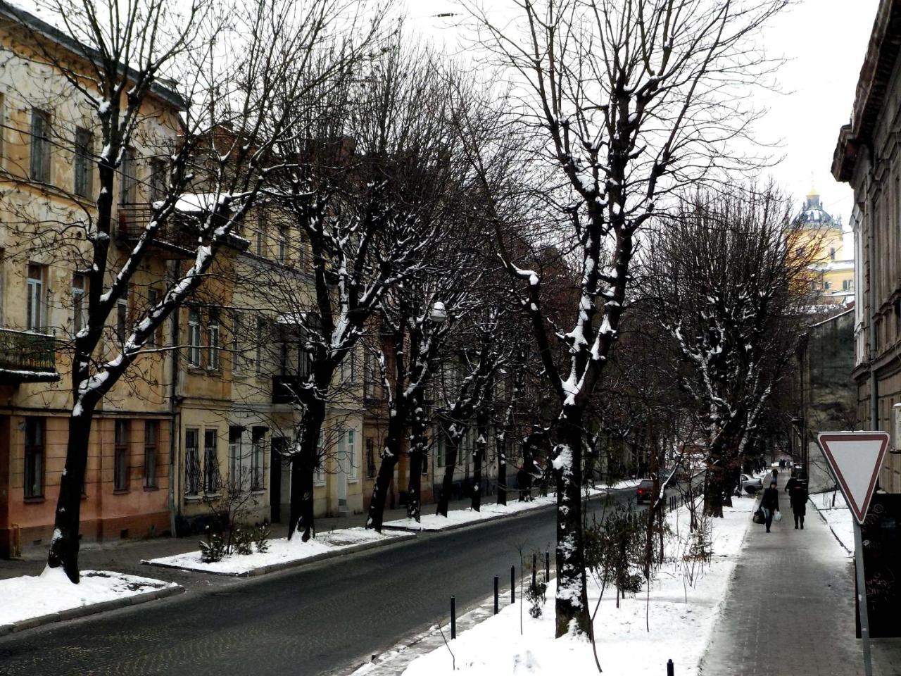 With Dom Studio Apartman Lviv Kültér fotó